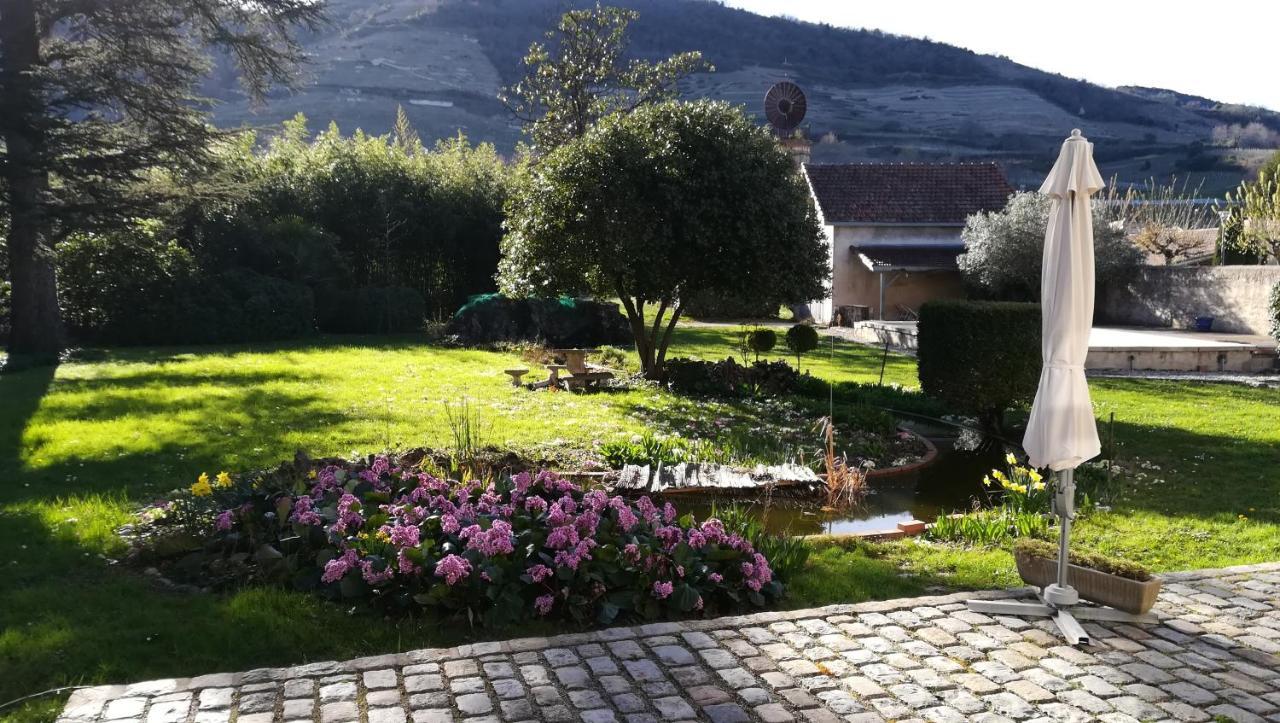 Bed and Breakfast Les Palmiers Mauves Esterno foto